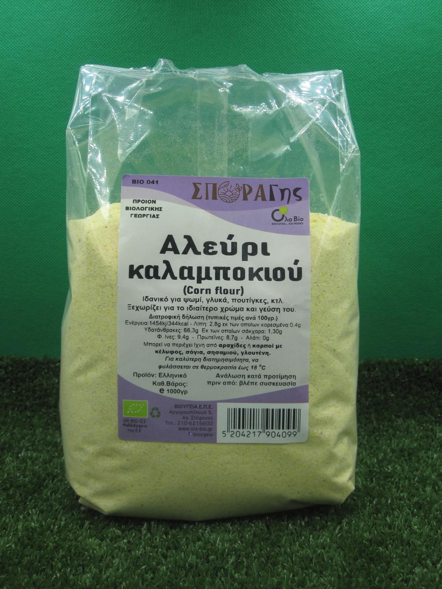 aleuri_kalampokiou_bio-900x1200 aleuri_kalampokiou_bio